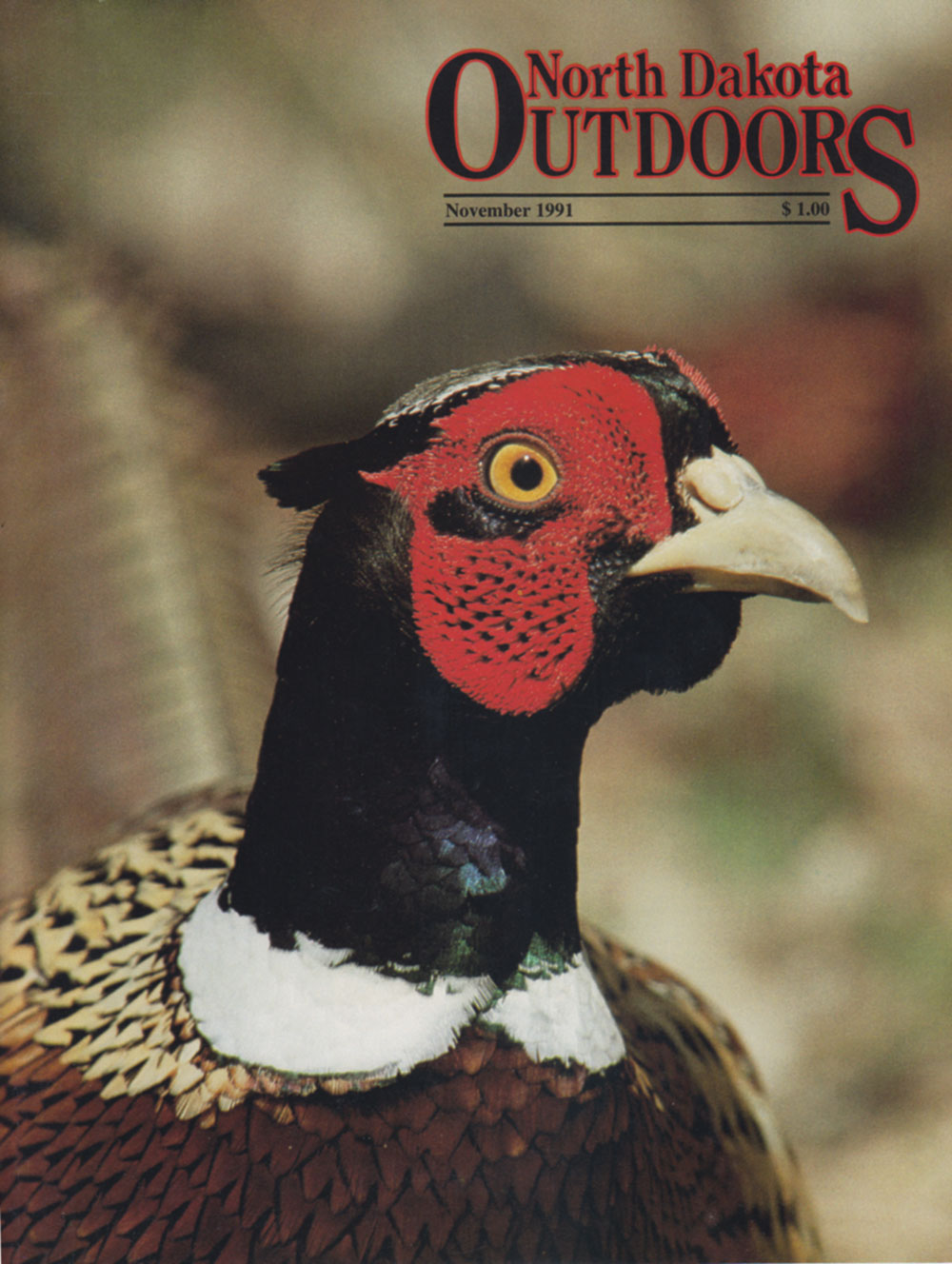 Cover of North Dakota Outdoors for the month of November 1991