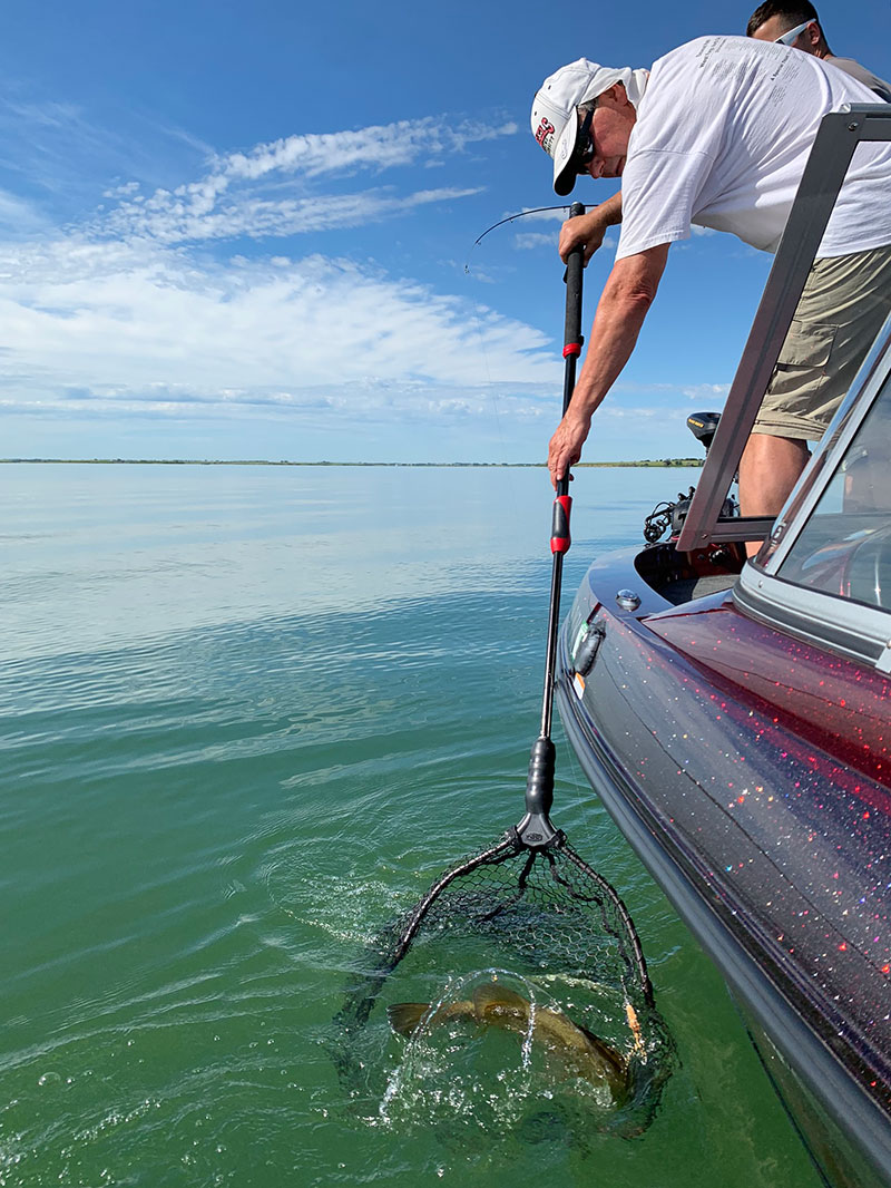 Angler on boat netting fish