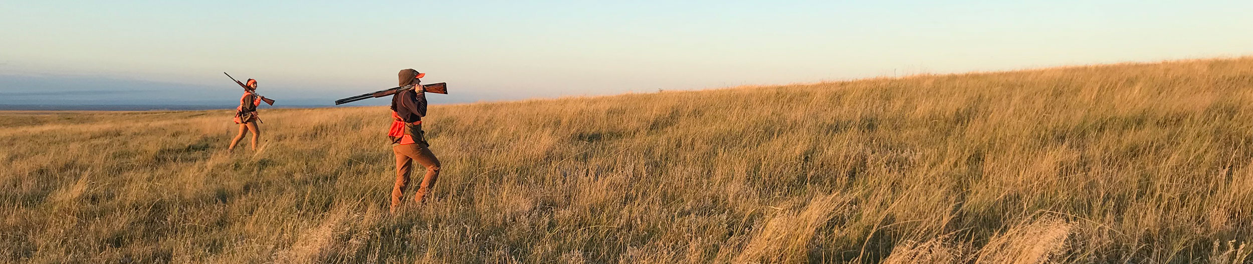 Two upland game hunters walking across the prairie