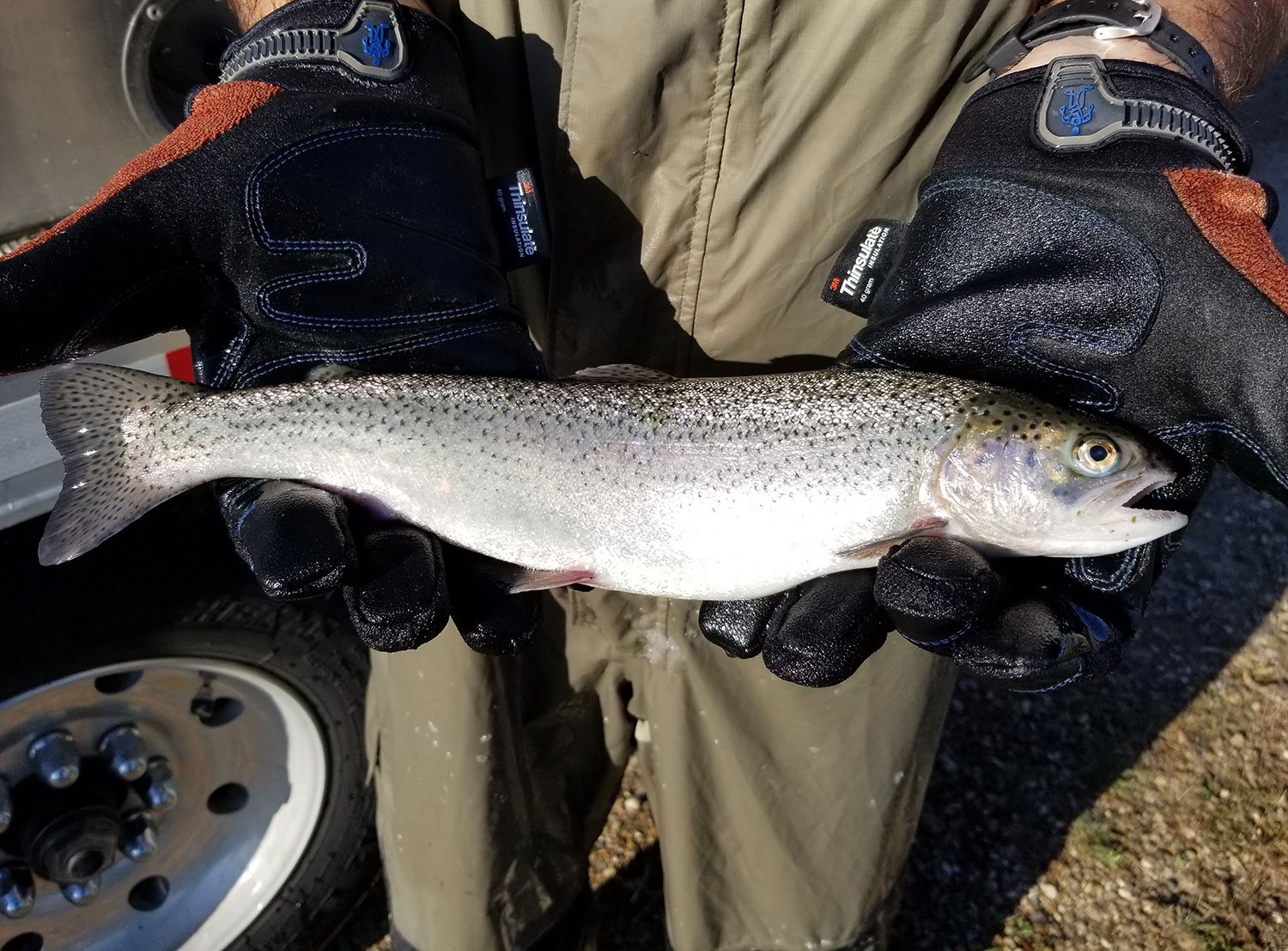 Fishing Options  North Dakota Game and Fish