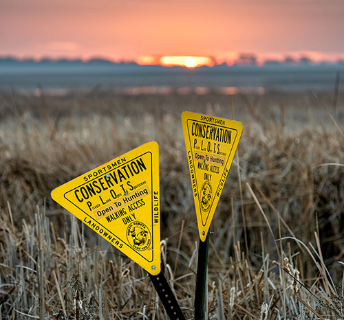 PLOTS signs in field with sunset behind