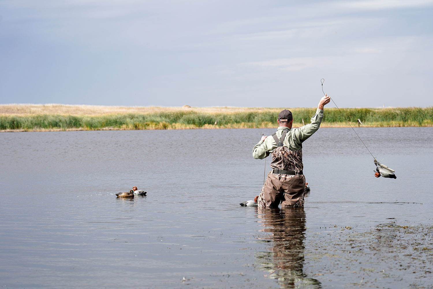 Duck hunter in waders throwing decoys into the water