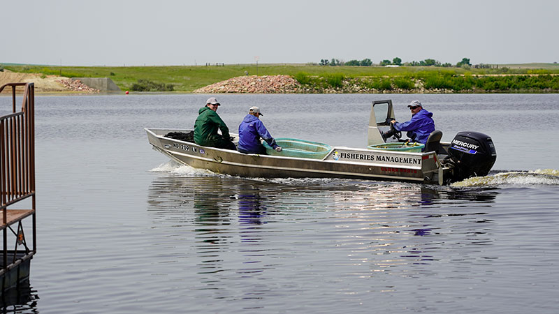 Fisheries biologists in boat working at Odland Dam
