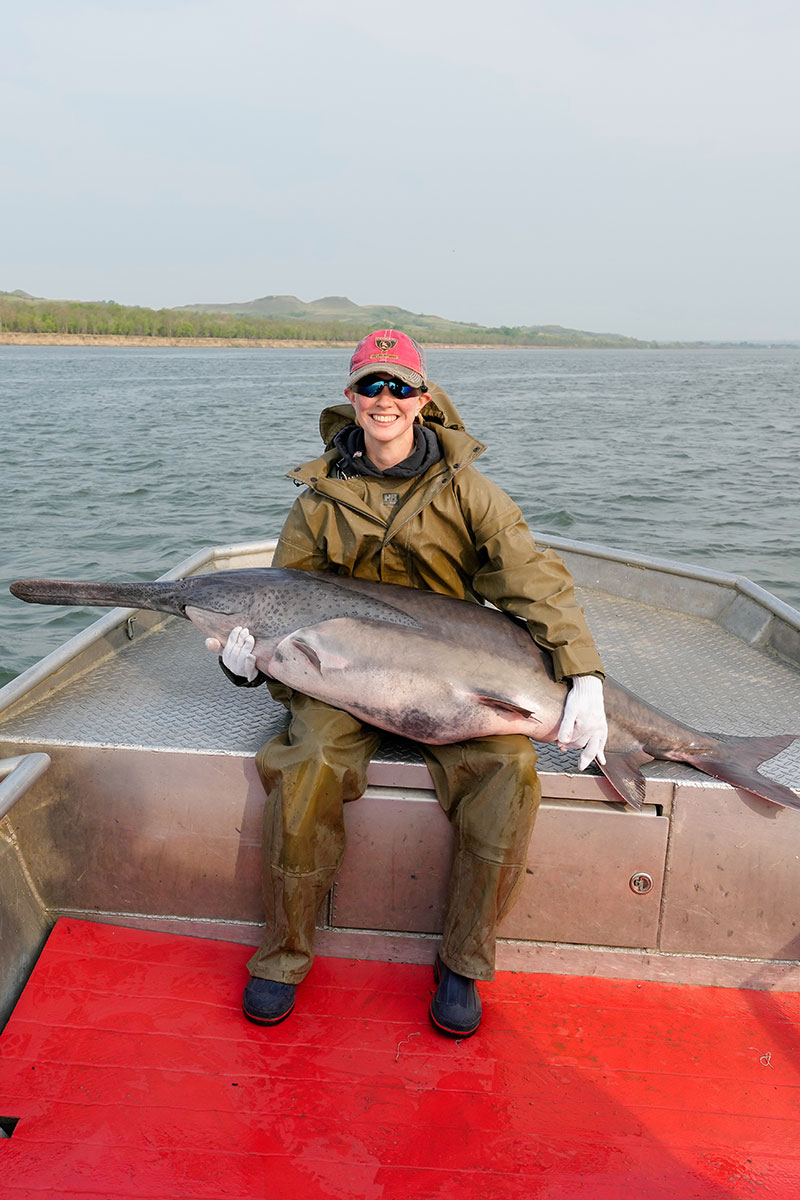 Paddlefish held by person