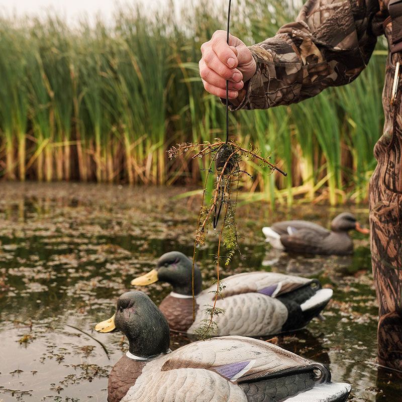 Weeds and decoys in water