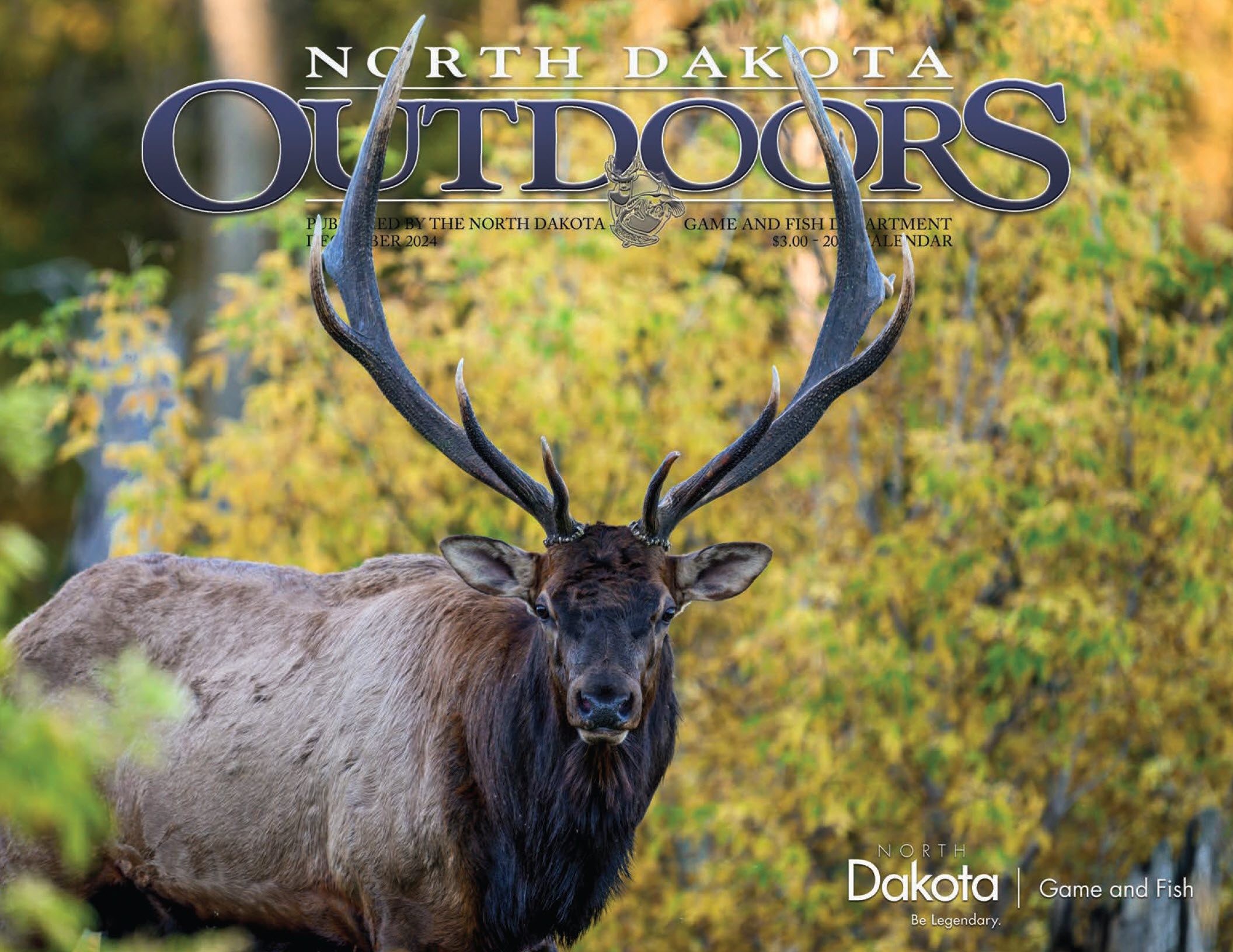 Bull elk with fall colors in background