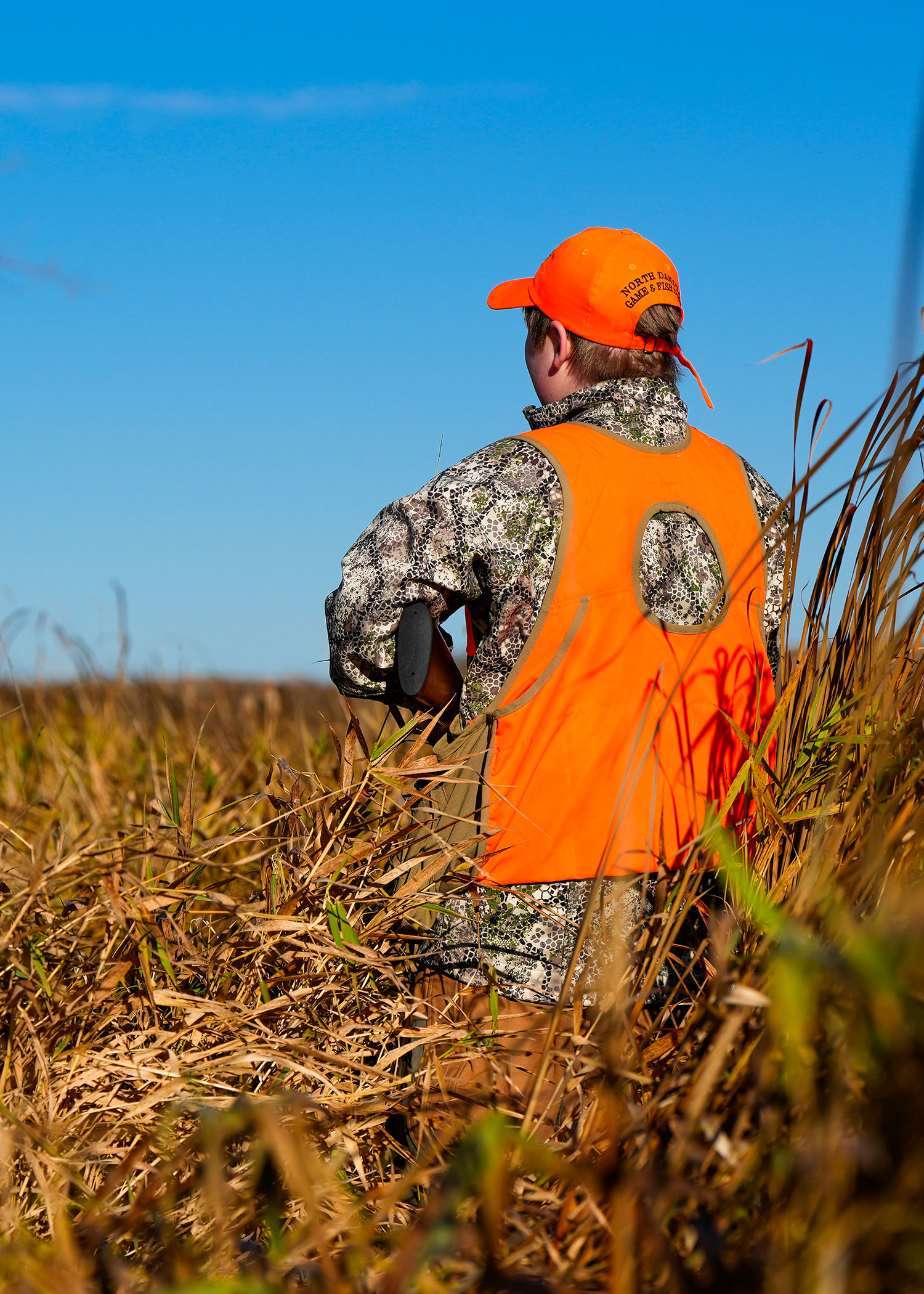 Pheasant hunter in the field