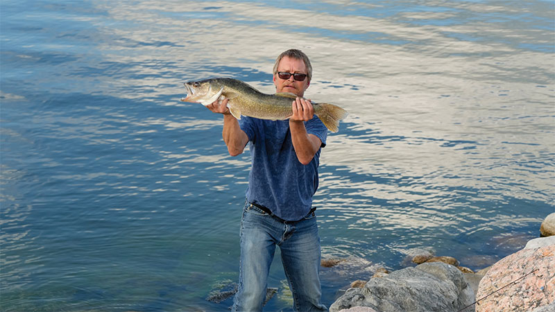 Angler with harvested walleye