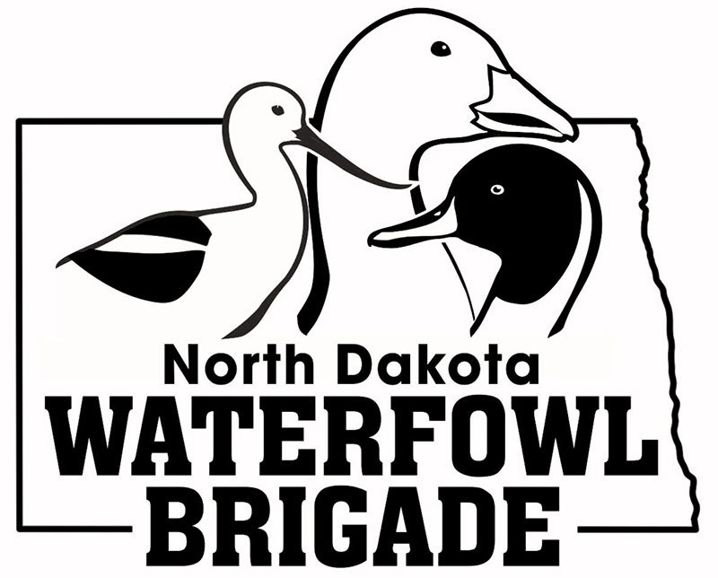 NDWTFL Logo