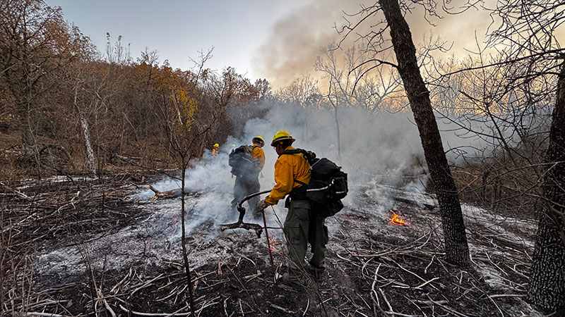 Fire crew in woods