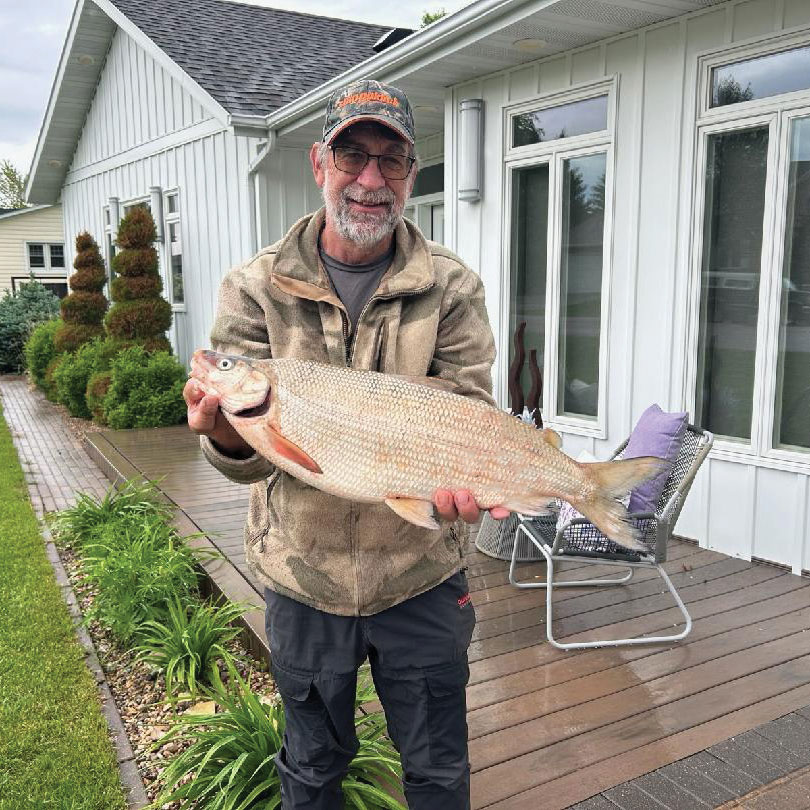 Liebel holding record whitefish