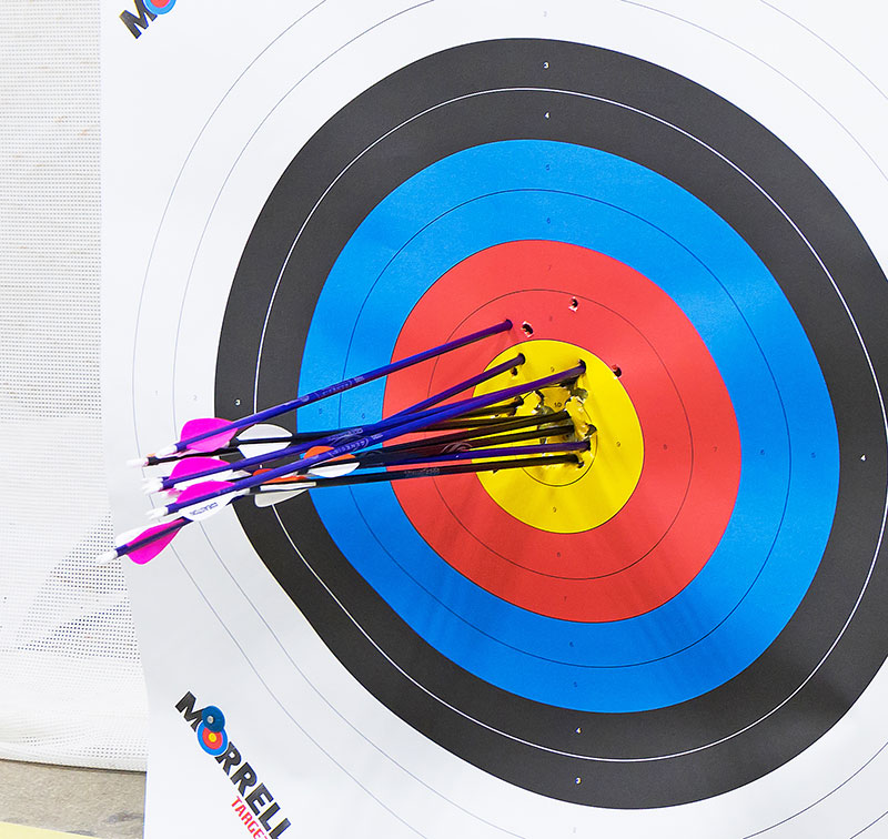 Target with arrows in it