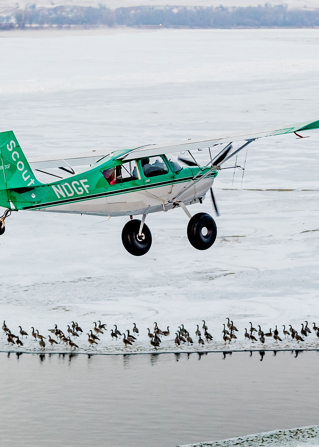 Plane flying over geese on an icy river