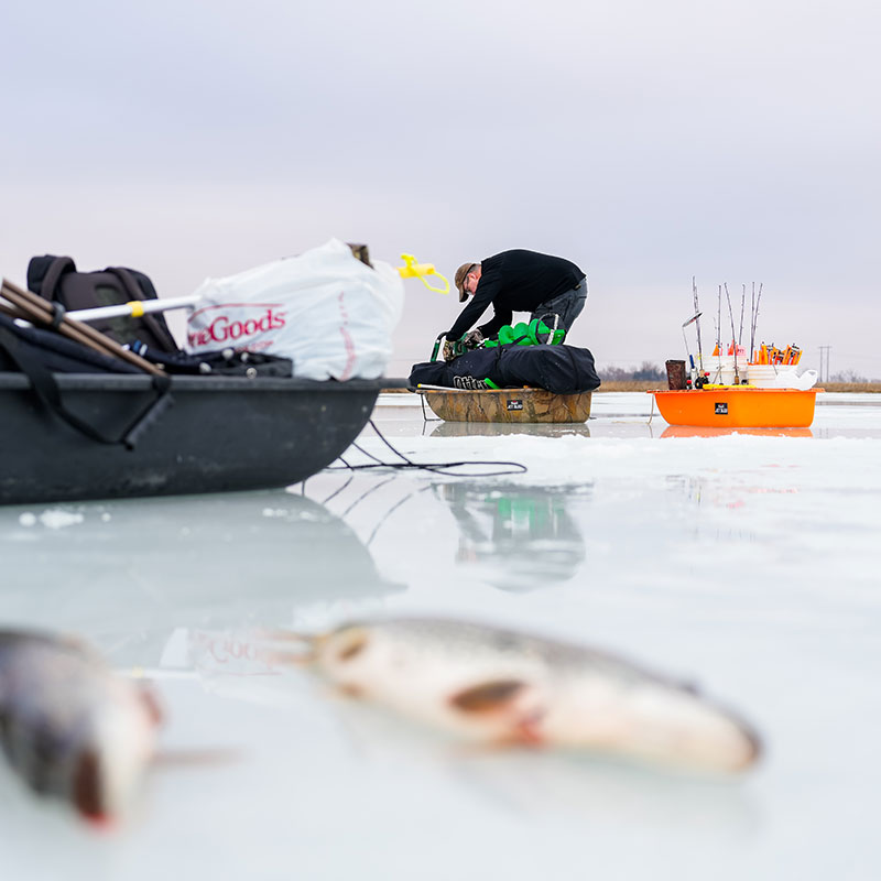Fish on the ice with angler in the background