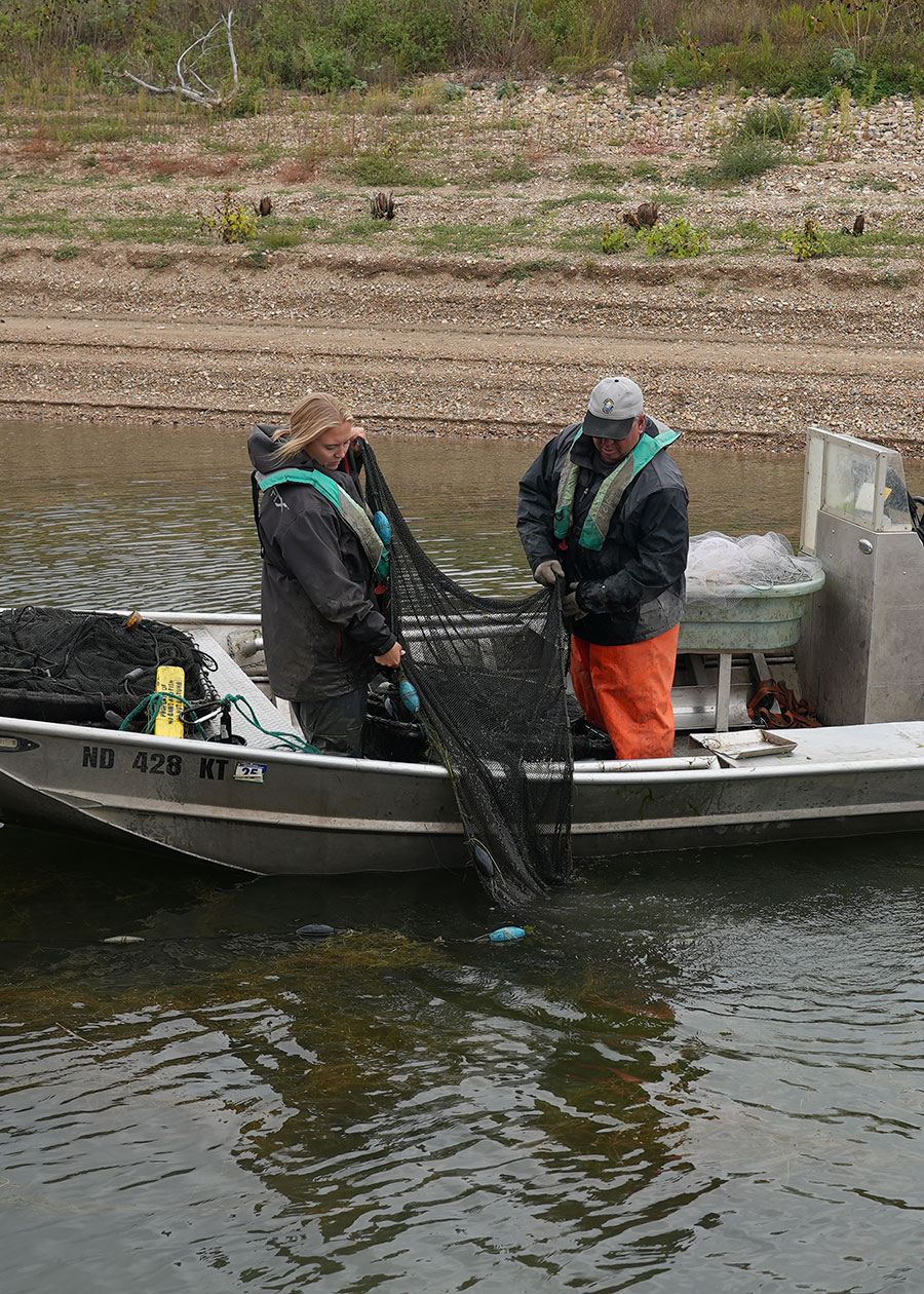 Biologists in boat netting fish