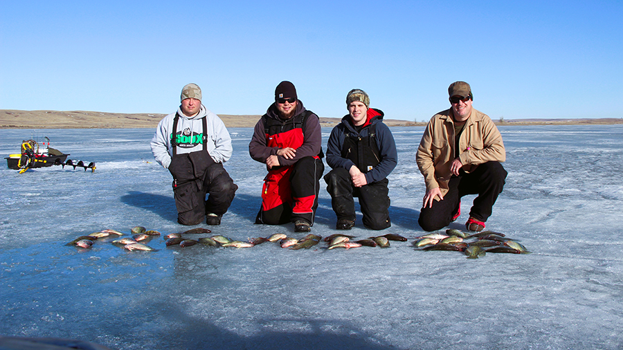 Ice anglers posing with carppie they harvested