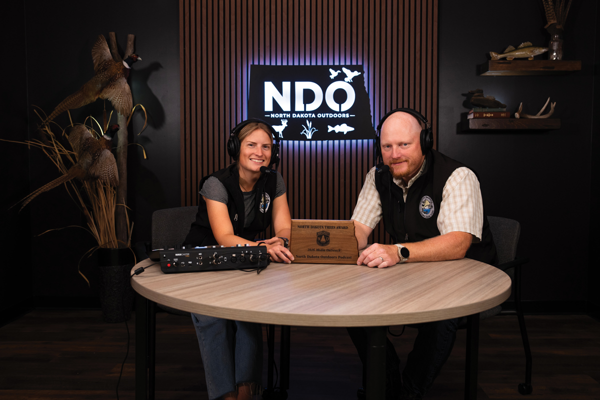 NDO Podcast award