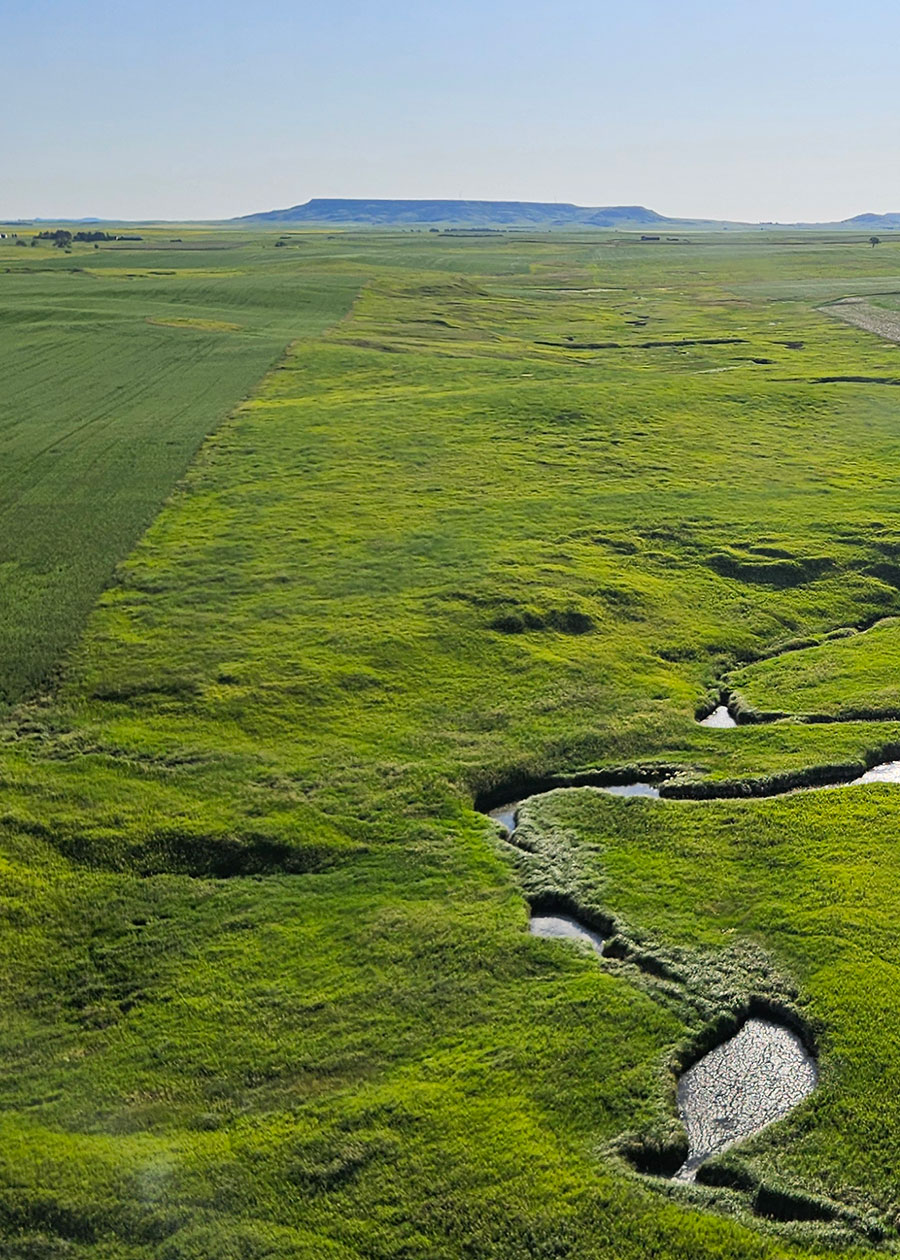 Wildlife habitat between crop fields