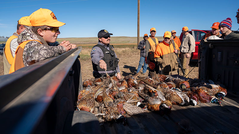 Warden talking to a bunch of hunters over a truck bed with harvested pheasants laid out.