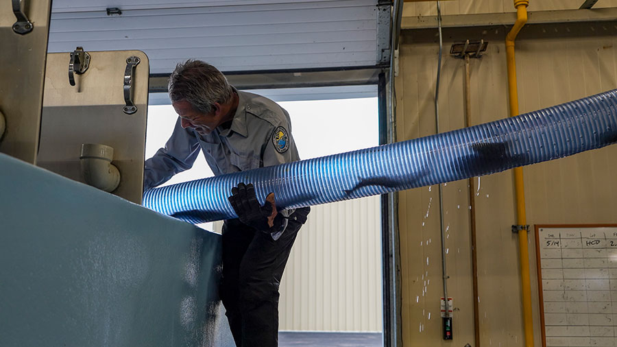 Biologist holding tube that is being used to move trout from a holding tank to a truck