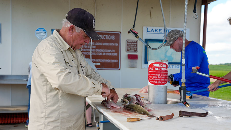 Person filleting fish