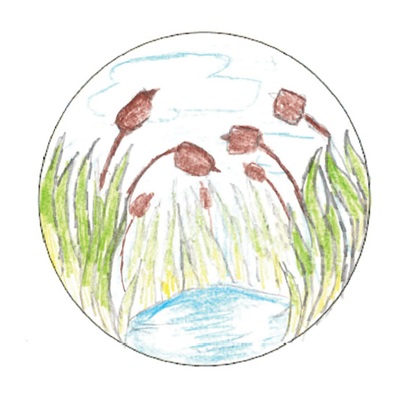 Winning patch design