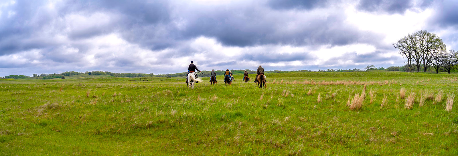 People on horses following the dogs