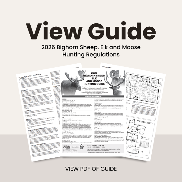 2026 Bighorn Sheep, Elk and Moose Hunting Guide