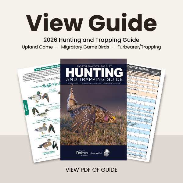 2026 Hunting and Trapping Guide