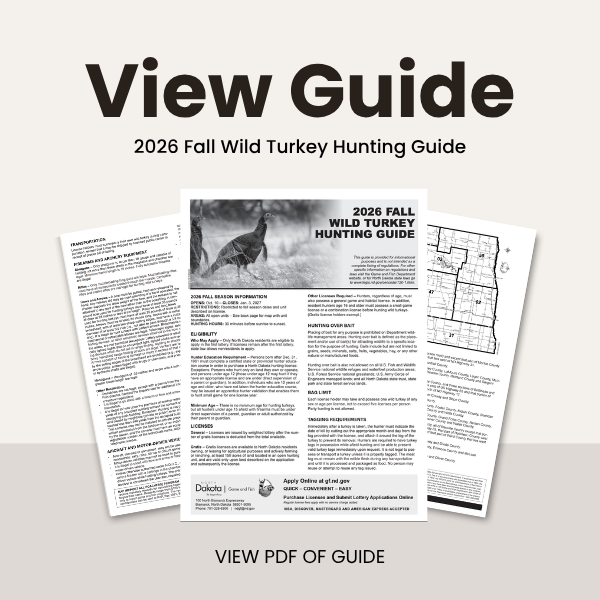 2026 Fall Turkey Hunting Guide