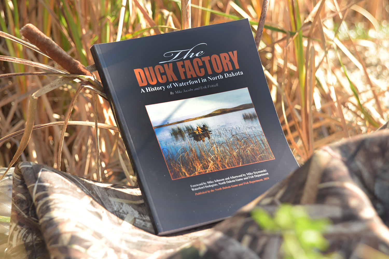 Duck Factory book cover