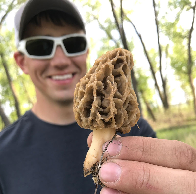 Man holding a morel mushroom