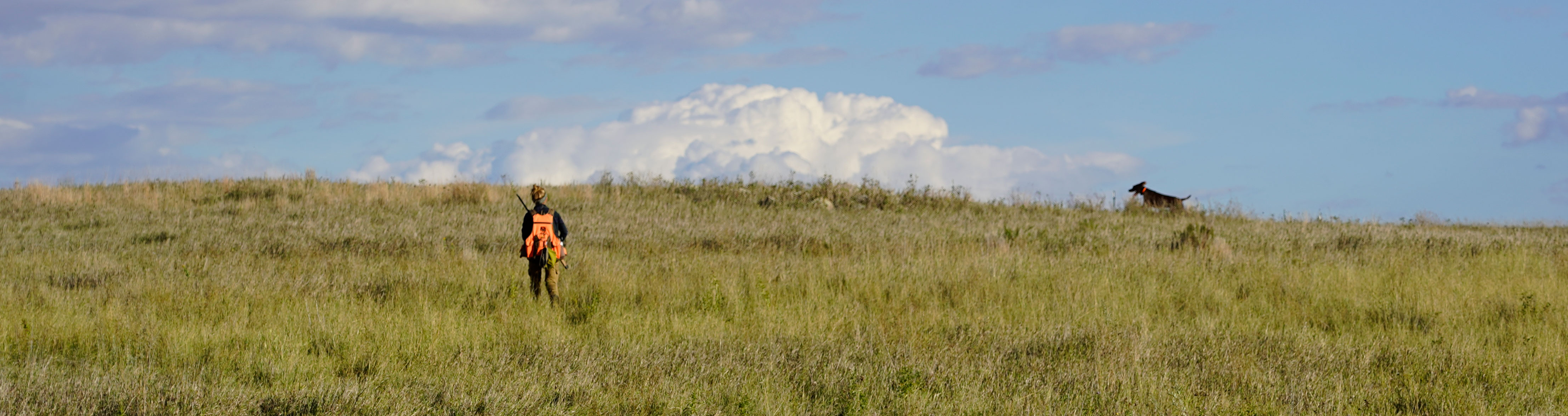 Cayla hunting on the prairie with Fin