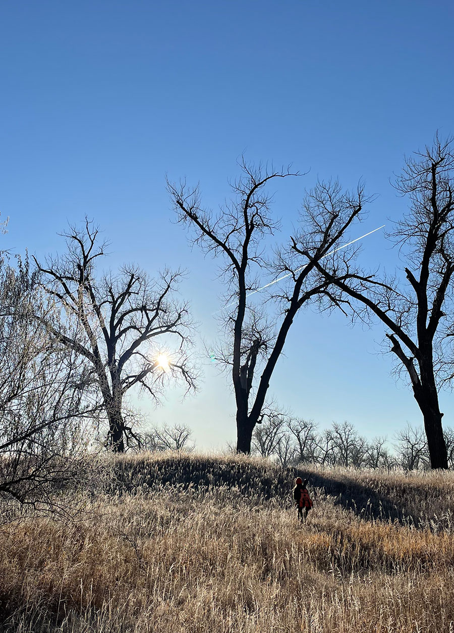 Cayla walking on prairie with big trees on a hill