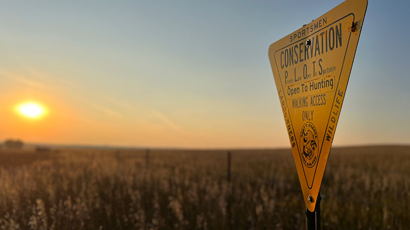 PLOTS sign in field with sun behind