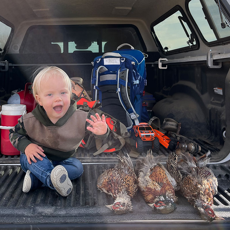 Son on tailgate with three harvested pheasant roosters