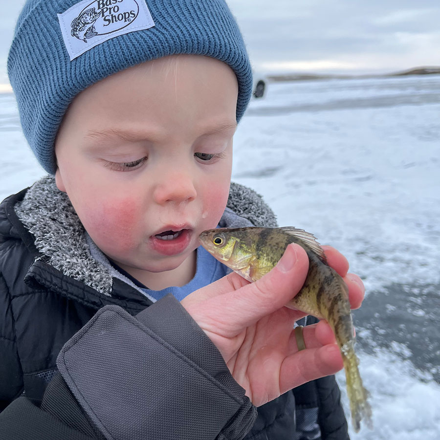 Kid taking a close look at a perch caught while ice fishing