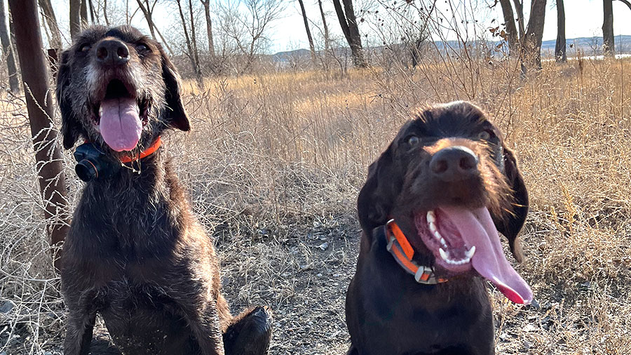 Finley and Rhett in the field