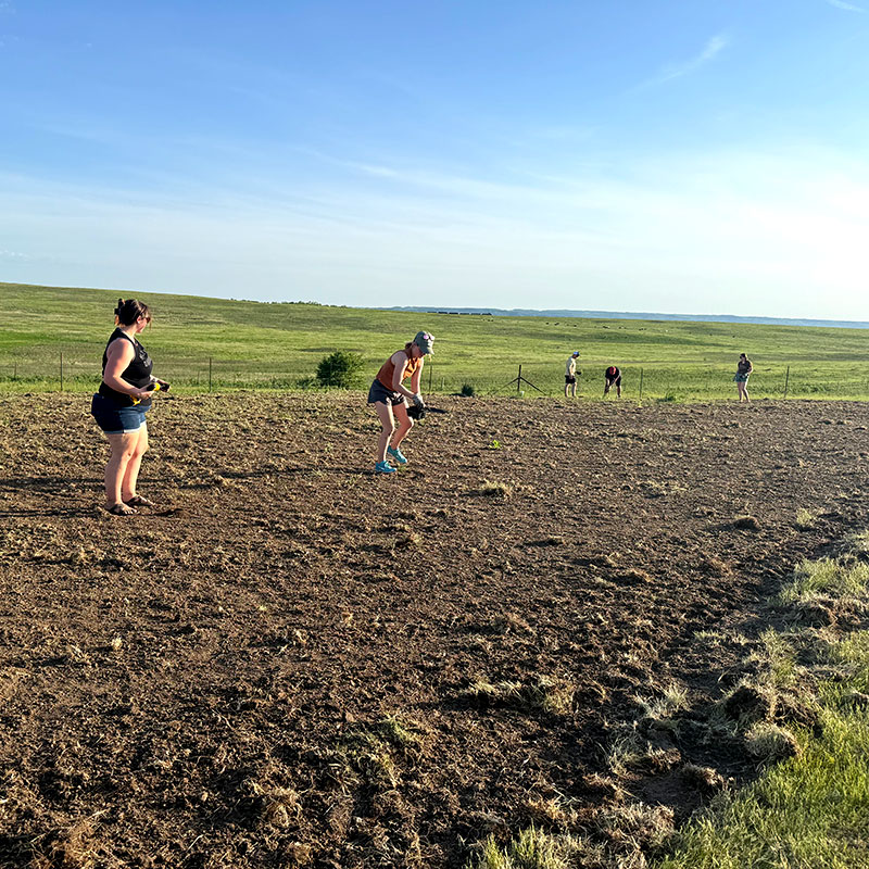People planting in a field