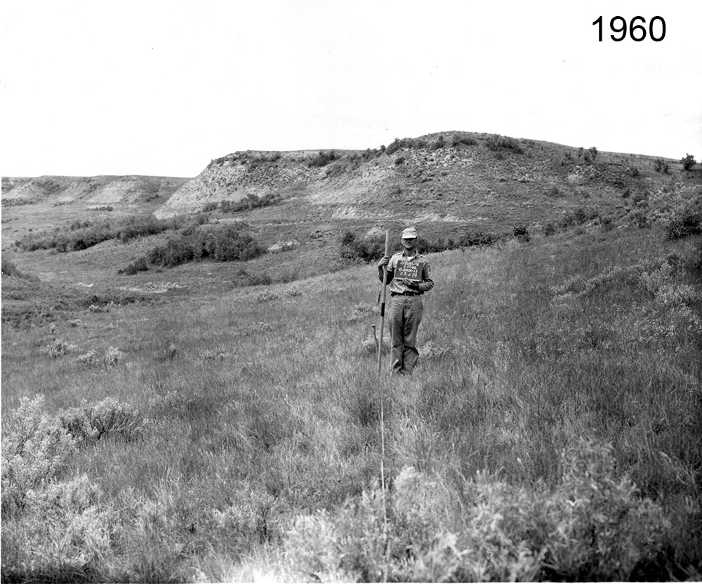 Transect in 1960