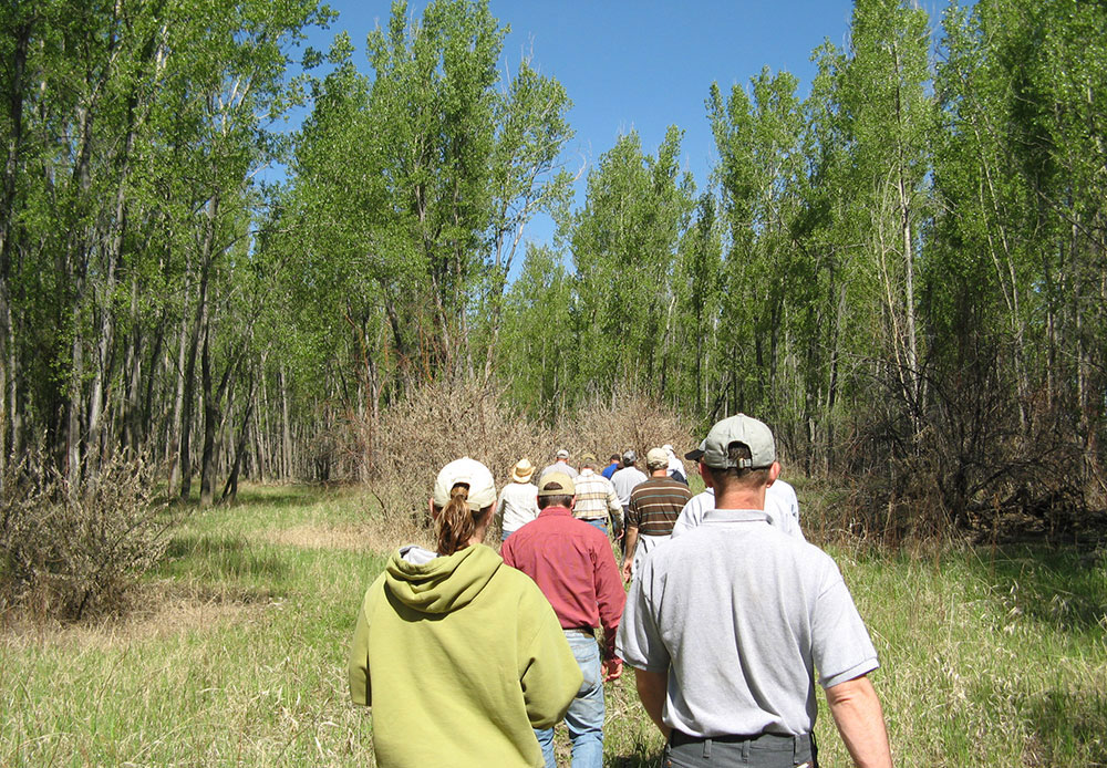 Group viewing riparian area