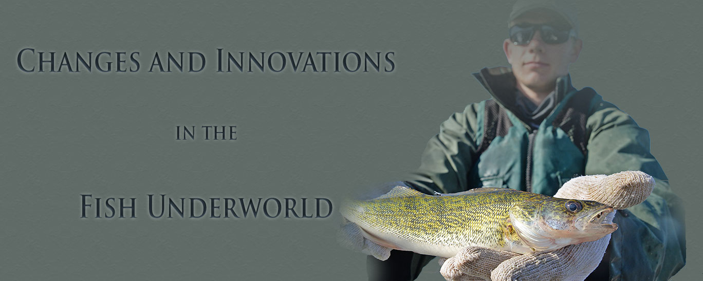 Walleye