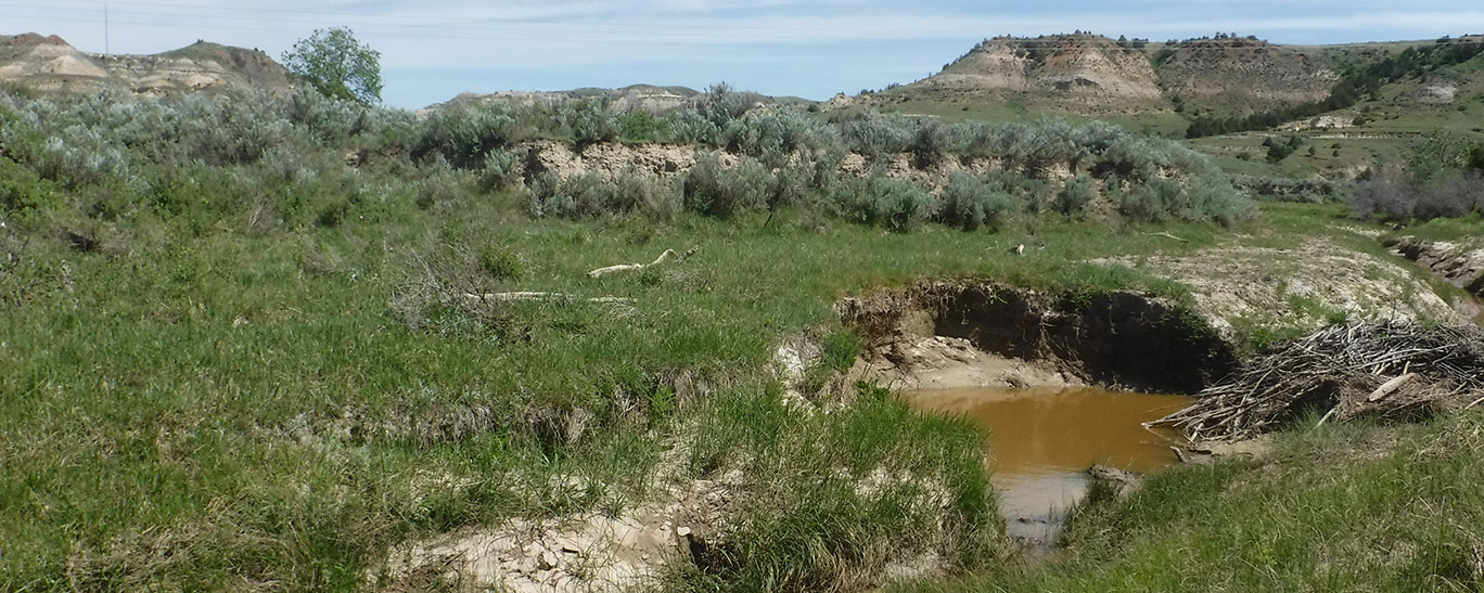 Davis creek