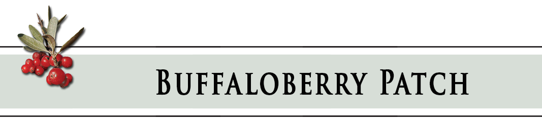 Buffaloberry Patch header graphic