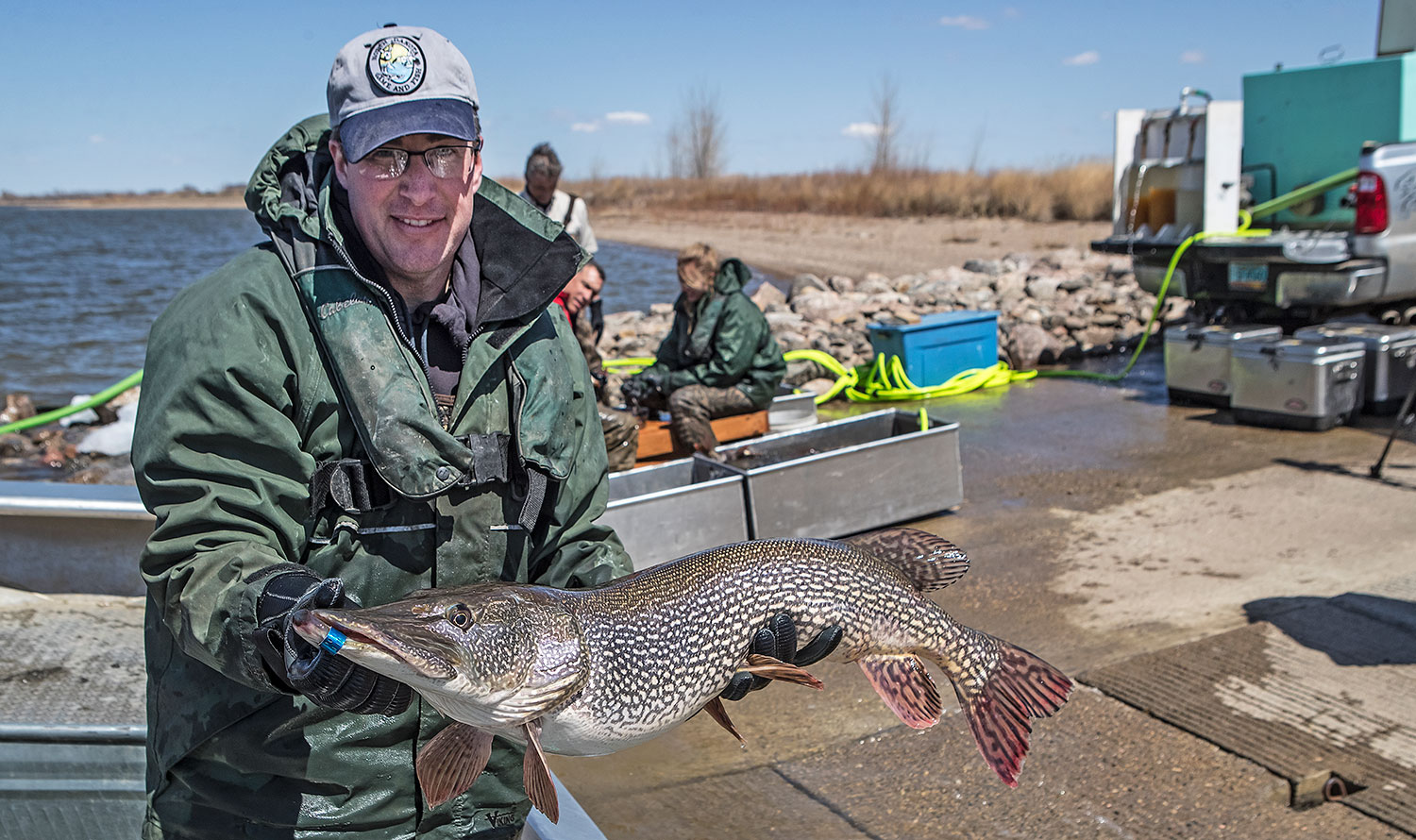 Fisheries biologist holding northern pike