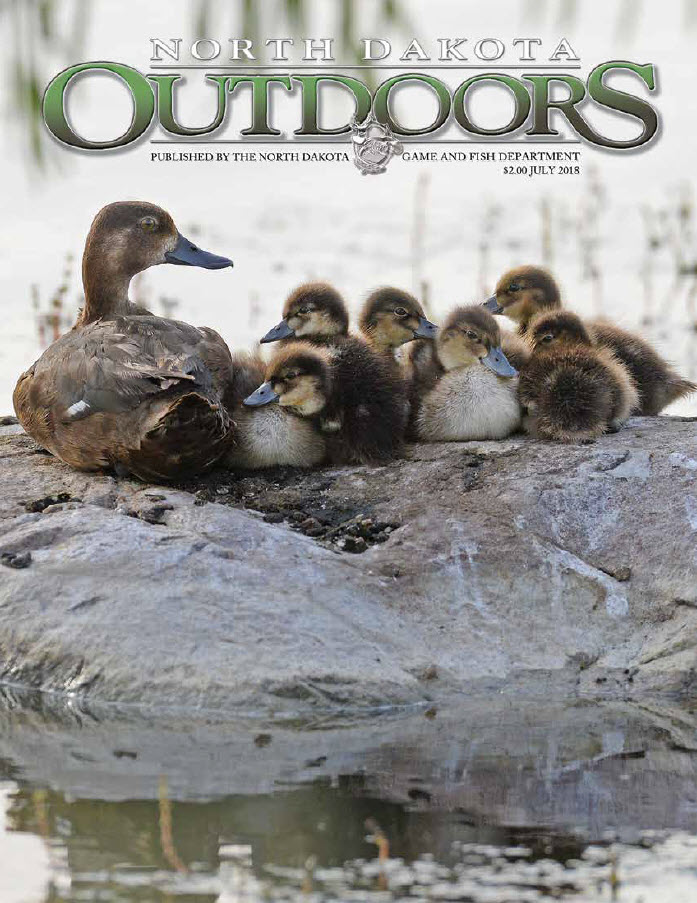 North Dakota Game and Fish - Deer Lottery Held, Licenses ...