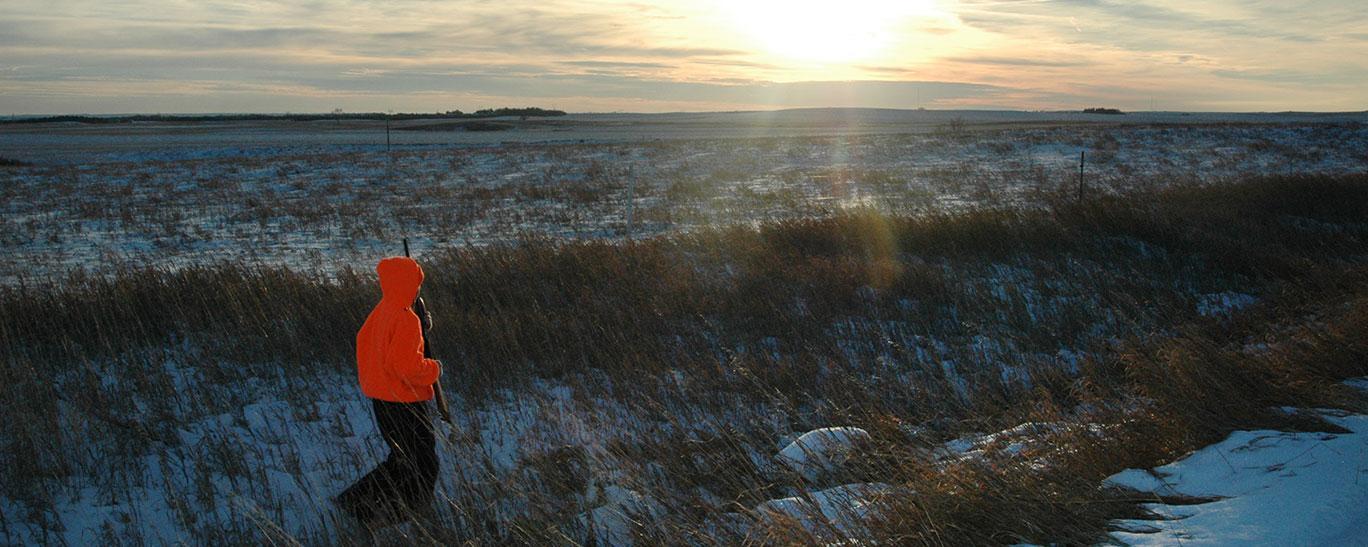 Youth pheasant hunting