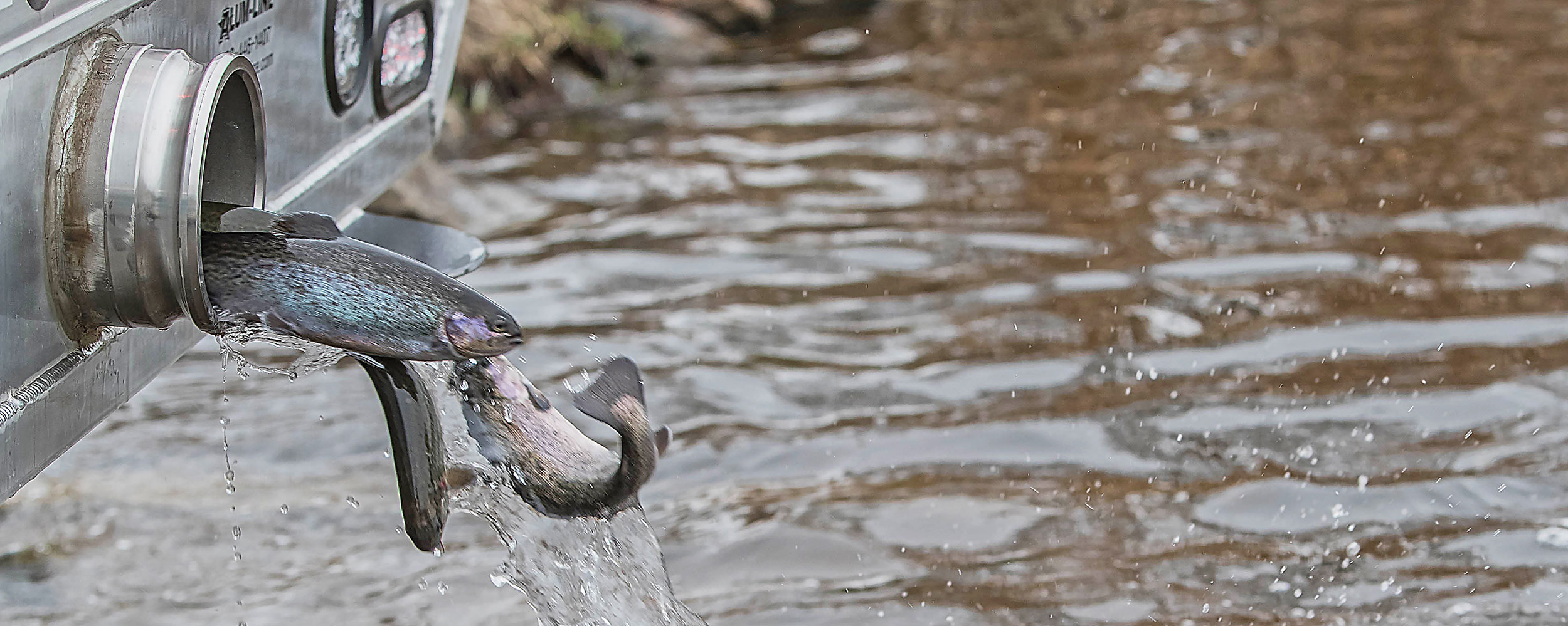 2018 Fish Stocking Report North Dakota Game And Fish
