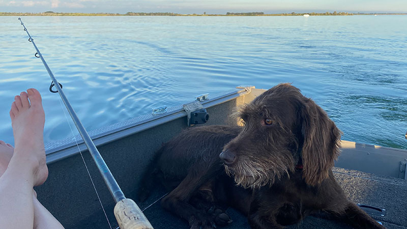 Dog on boat with angler relaxing
