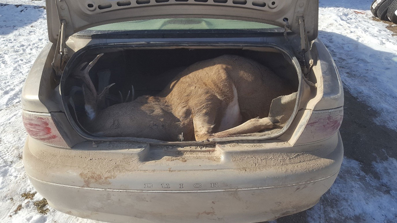 Buck in a Buick trunk